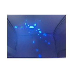 XTrace UV Max Blue liquide 50ml