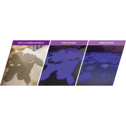 XTrace UV PURPLE liquide 50ml